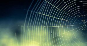 Call for Contributions by the IASC 2021 Polycentricity Virtual Conference scheduled on 17-19 May 2021